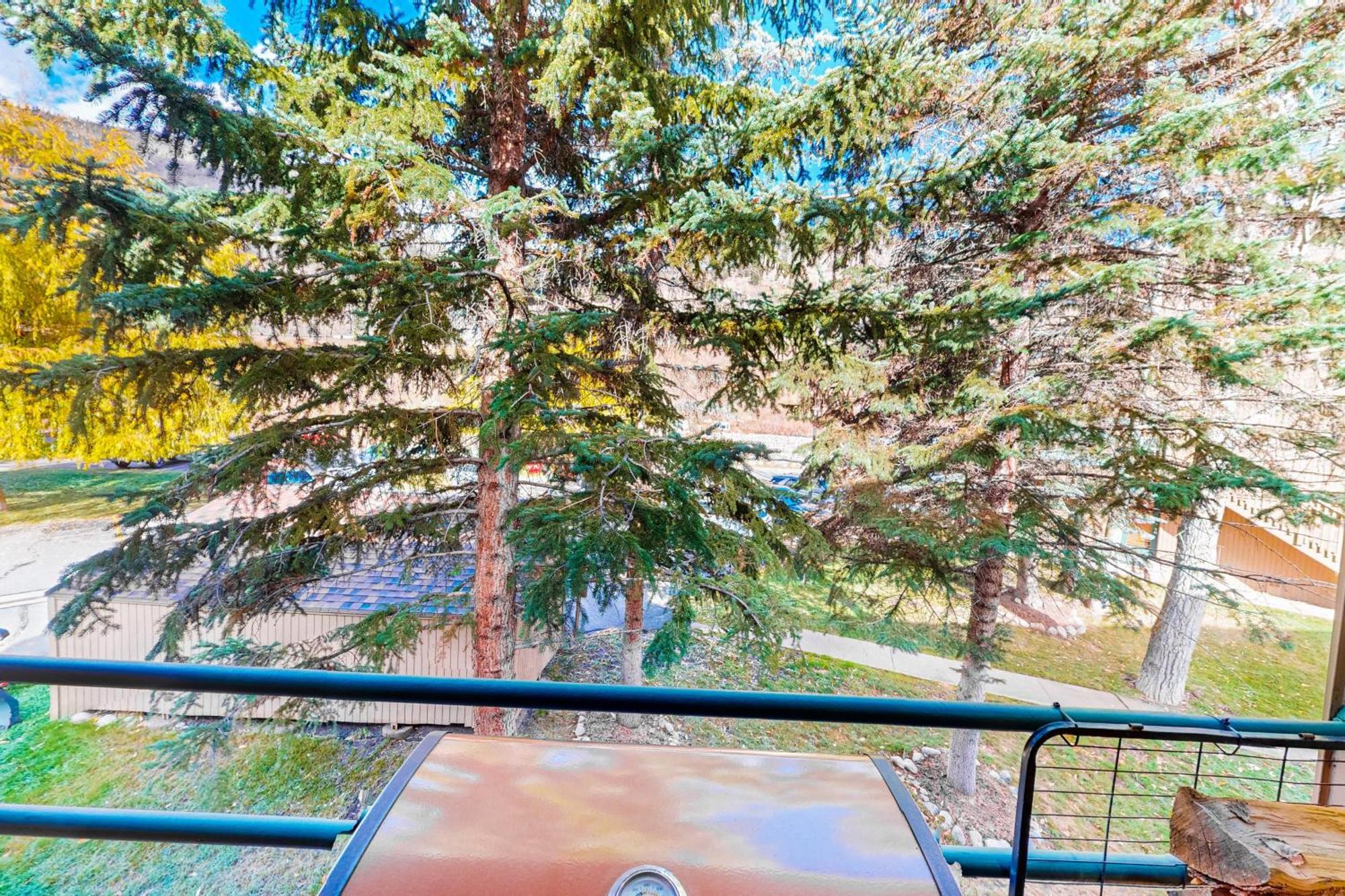 Pitkin Creek Park 7 Villa Vail Kamer foto